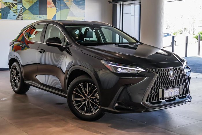 2024 Lexus NX