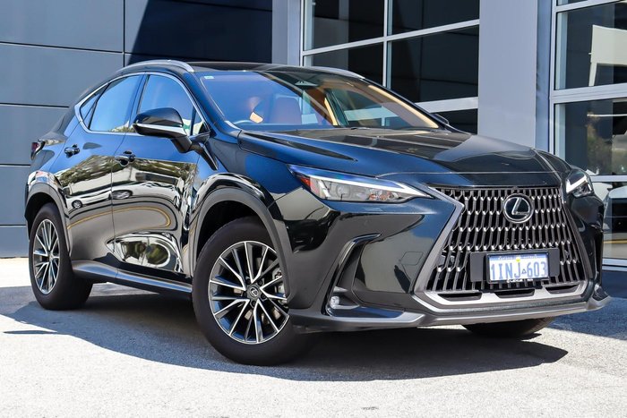 2024 Lexus NX