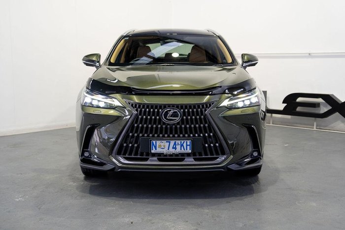 2024 Lexus NX 350h Sports Luxury