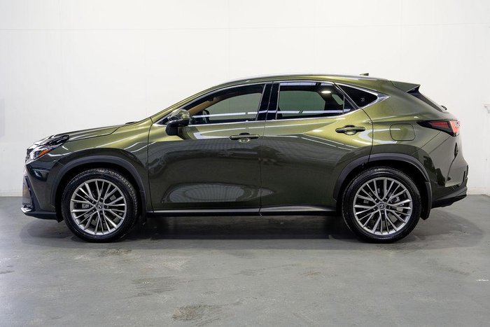 2024 Lexus NX 350h Sports Luxury