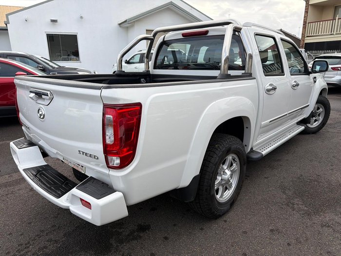 2020 Great Wall Steed