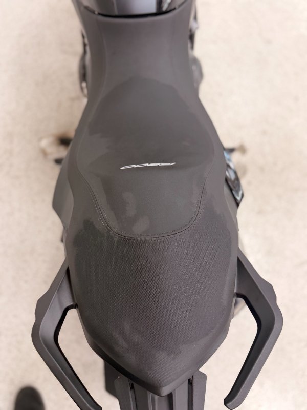 2024 BMW Motorrad F 900 R Black