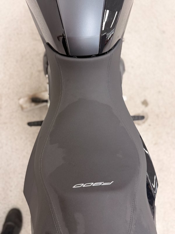 2024 BMW Motorrad F 900 R Black