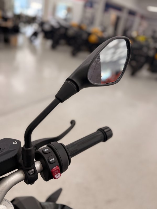 2024 BMW Motorrad F 900 R Black