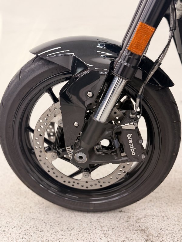 2024 BMW Motorrad F 900 R Black