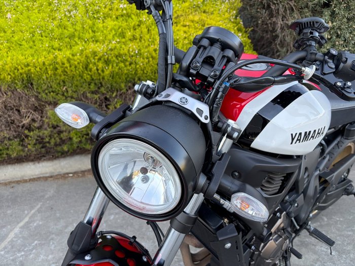 2021 Yamaha XSR700 White