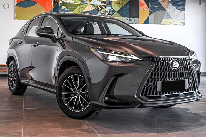 2024 Lexus NX