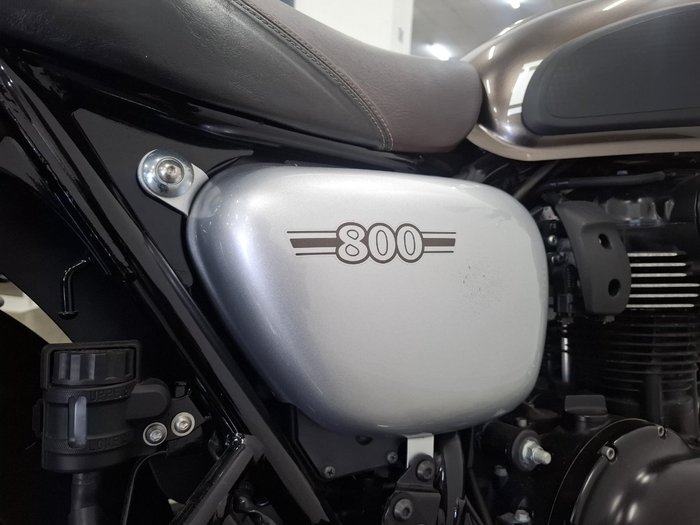 2019 Kawasaki W800 STREET (EJ800) Grey
