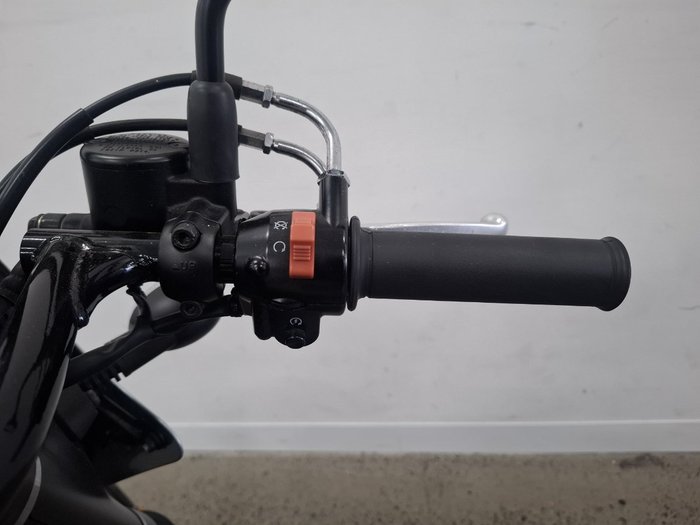 2019 Kawasaki W800 STREET (EJ800) Grey