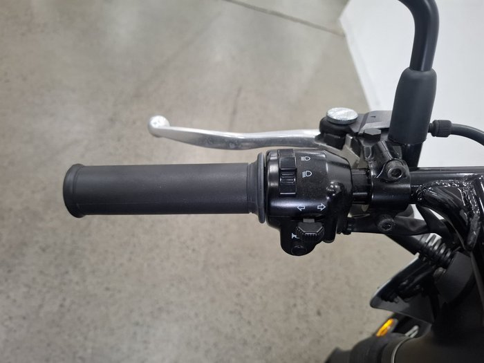 2019 Kawasaki W800 STREET (EJ800) Grey