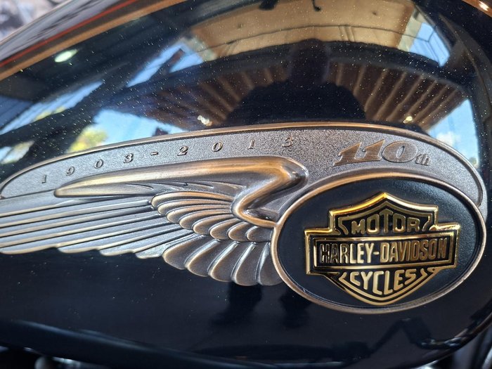 2013 Harley-Davidson Fat Boy Lo 110th Anniversary (FLSTFBANV)
