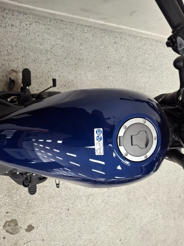 2026 Honda CMX 500 S EDITION Blue
