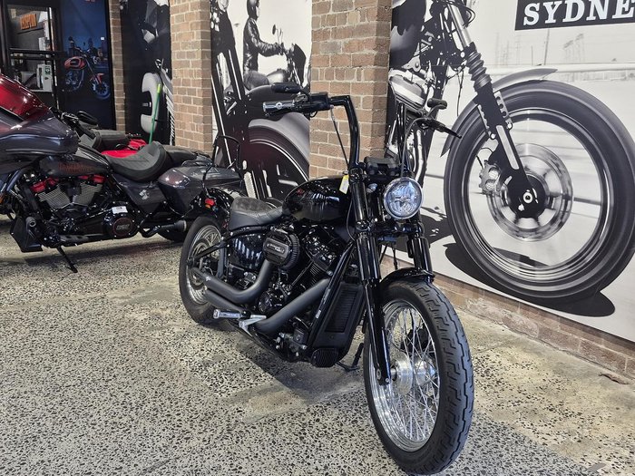 2022 Harley-Davidson Softail Standard 107 (FXST)