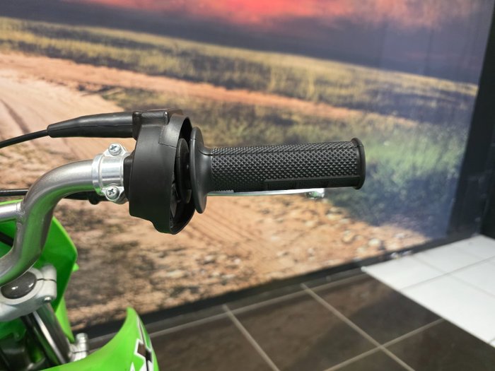 2026 Kawasaki KLX110R GREEN