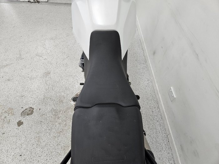 2023 DUCATI DESERTX White