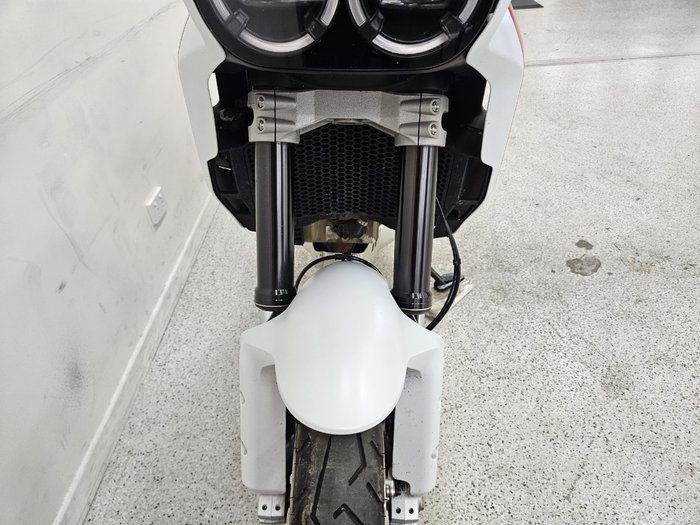 2023 DUCATI DESERTX White