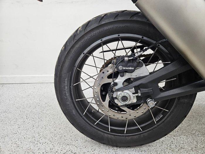 2023 DUCATI DESERTX White