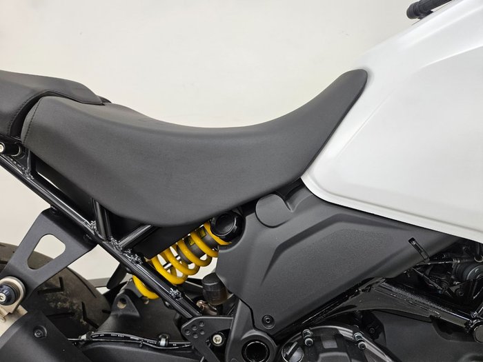 2023 DUCATI DESERTX White
