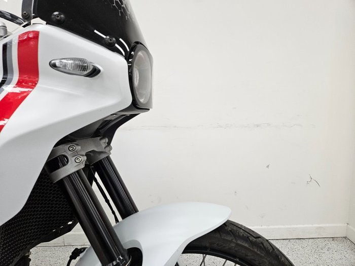2023 DUCATI DESERTX White