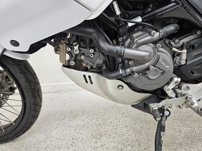 2023 DUCATI DESERTX White