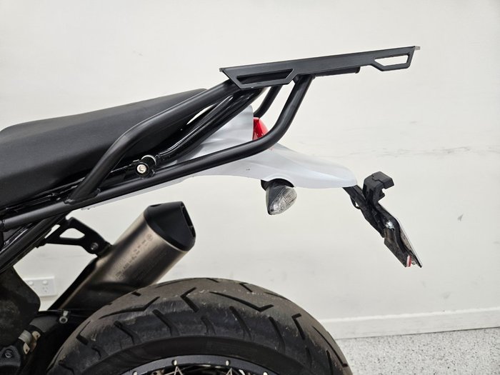 2023 DUCATI DESERTX White