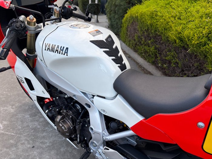 2024 Yamaha XSR900GP (MTM890ASP)