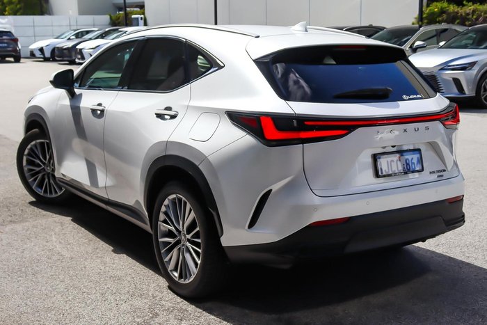 2025 Lexus NX 350h Sports Luxury