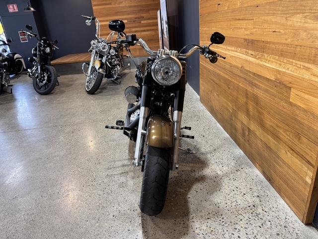 2013 Harley-Davidson Fat Boy Lo 110th Anniversary (FLSTFBANV)
