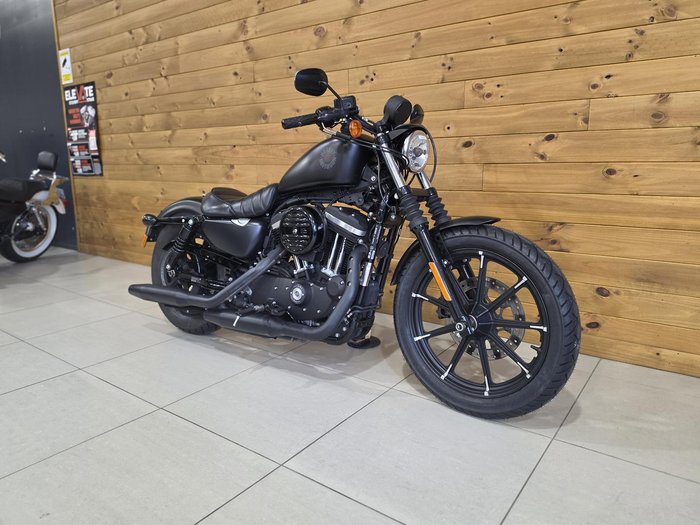 2020 Harley-Davidson Iron 883 (XL883N)