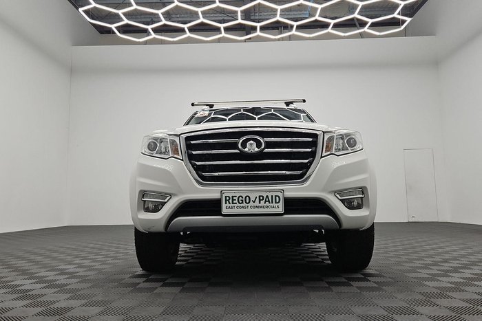 2020 Great Wall Steed