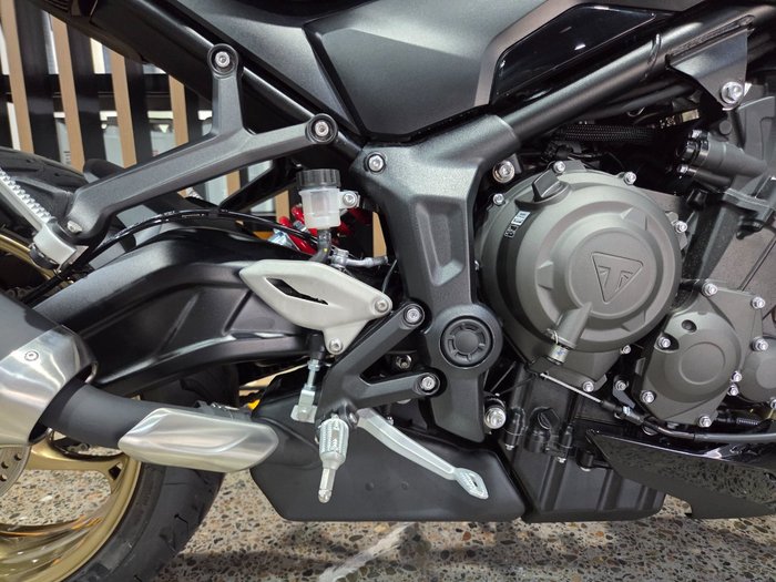 2026 Triumph TRIDENT 800 Black