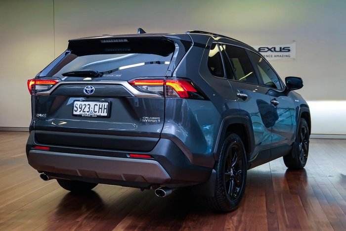2020 Toyota RAV4 Cruiser