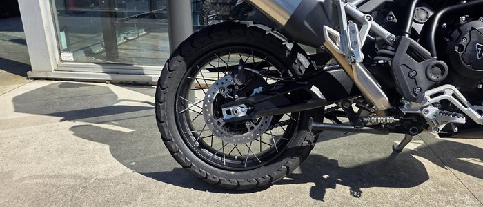 2024 Triumph Tiger 900 Rally Pro Tiger Grey