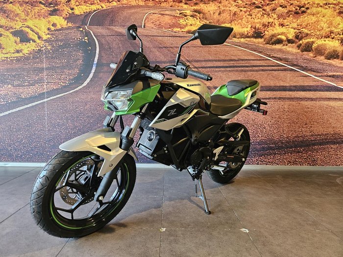2024 Kawasaki Z e-1 e-1 Silver