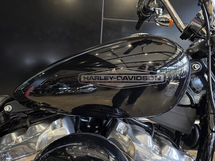 2021 Harley-Davidson Softail Standard 107 (FXST)