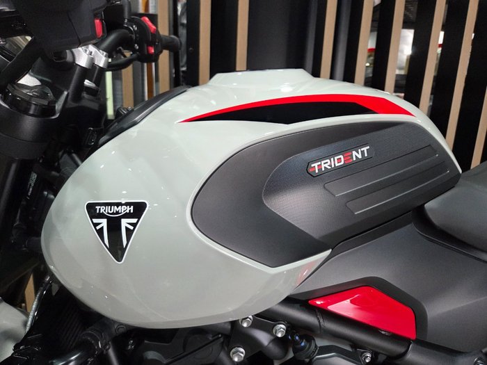 2026 Triumph TRIDENT 800 GREY