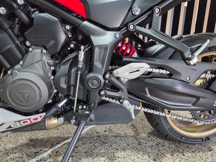 2026 Triumph TRIDENT 800 GREY