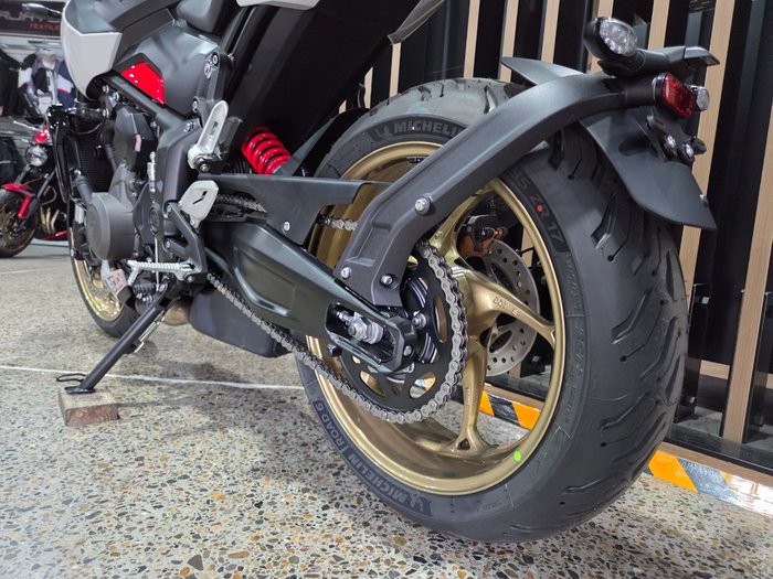 2026 Triumph TRIDENT 800 GREY