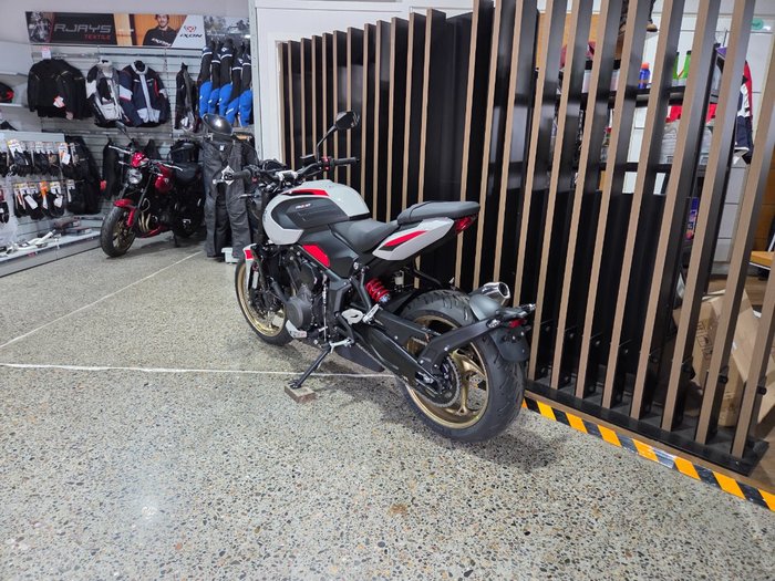 2026 Triumph TRIDENT 800 GREY