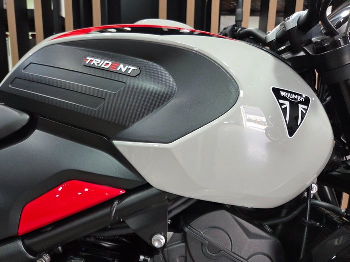 2026 Triumph TRIDENT 800 GREY