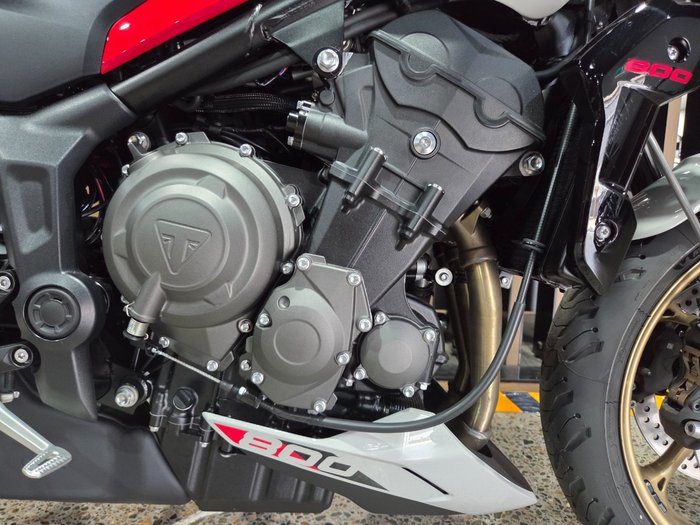 2026 Triumph TRIDENT 800 GREY