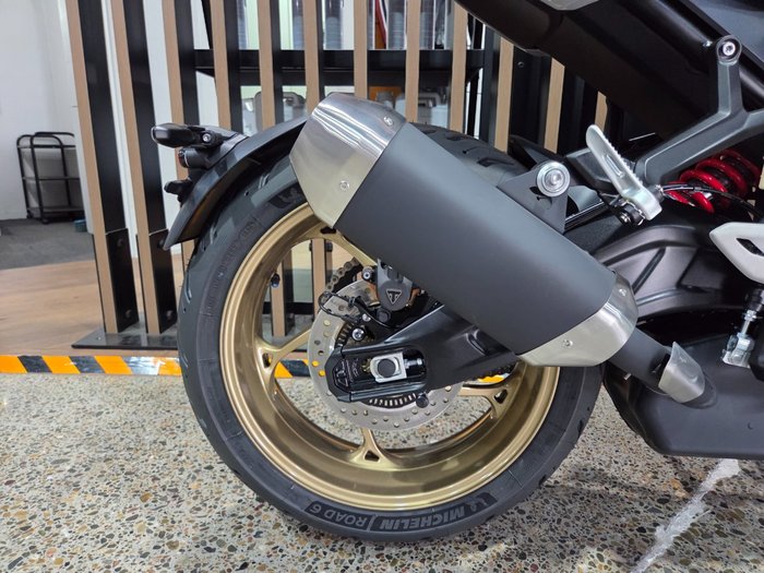 2026 Triumph TRIDENT 800 GREY