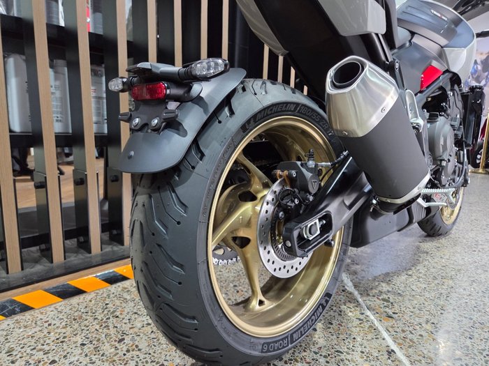 2026 Triumph TRIDENT 800 GREY