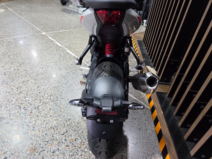 2026 Triumph TRIDENT 800 GREY