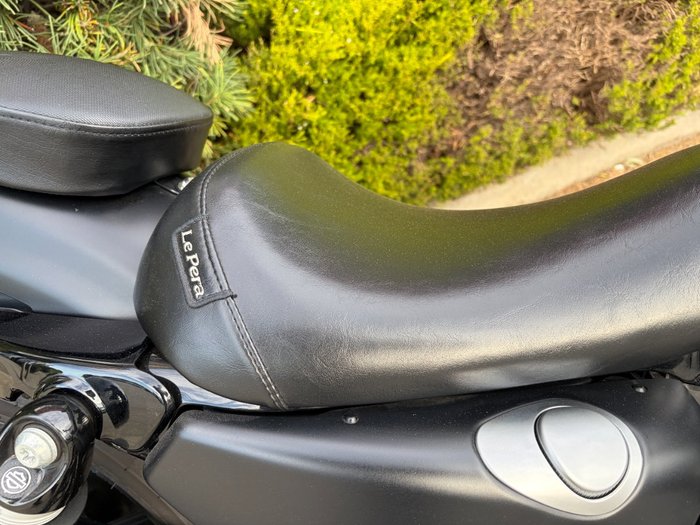 2019 HARLEY-DAVIDSON XL883N IRON 883 Black