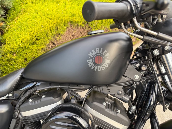 2019 HARLEY-DAVIDSON XL883N IRON 883 Black