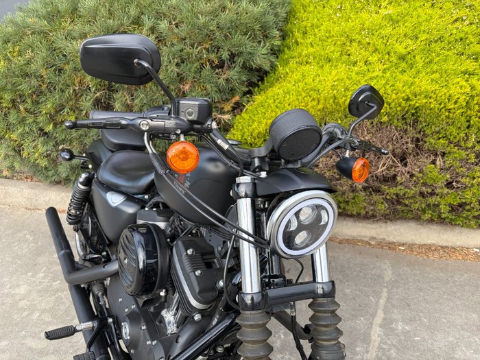 2019 HARLEY-DAVIDSON XL883N IRON 883 Black