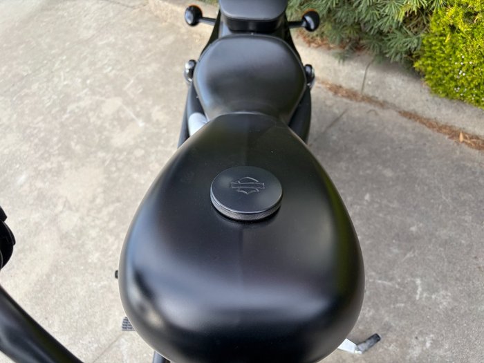 2019 HARLEY-DAVIDSON XL883N IRON 883 Black