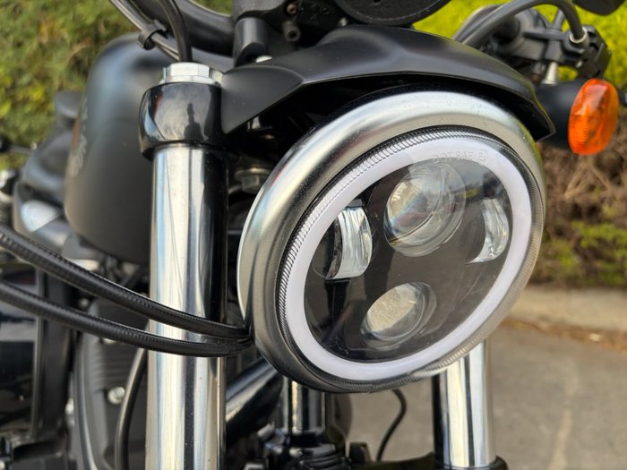 2019 HARLEY-DAVIDSON XL883N IRON 883 Black