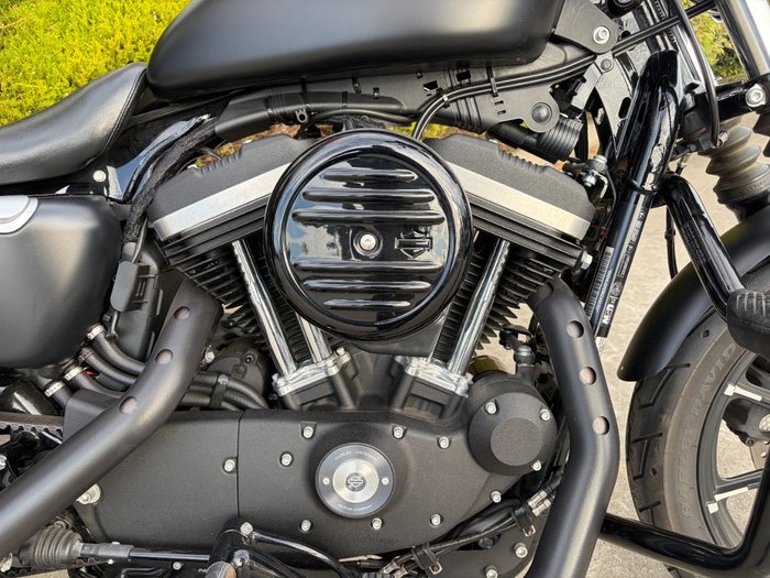 2019 HARLEY-DAVIDSON XL883N IRON 883 Black